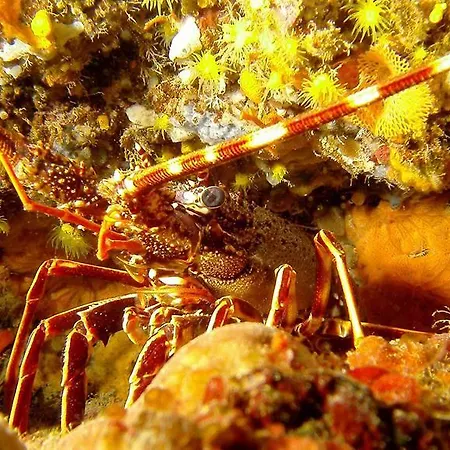 Appartement La Colombaia 1. 5/6 Beds *