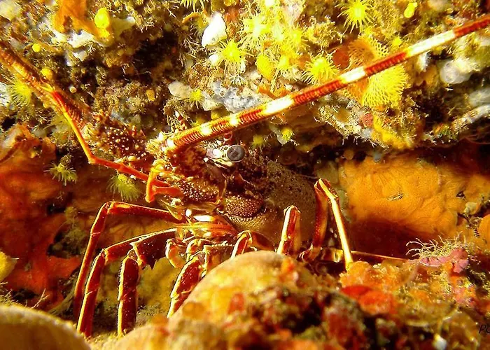 Appartement La Colombaia 1. 5/6 Beds *